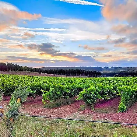 Historic Vineyard Retreat - 1785 Country In Peral Apartamento