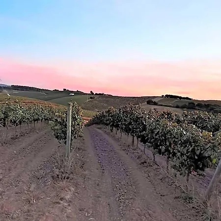 Apartamento Historic Vineyard Retreat - 1785 Country In Peral Cadaval