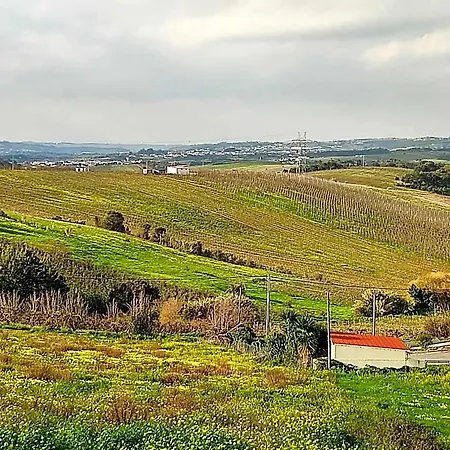 Historic Vineyard Retreat - 1785 Country In Peral Apartamento Cadaval